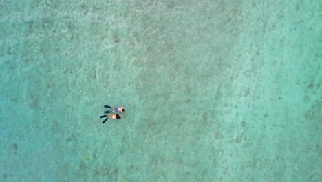 Couple-snorkeling-in-the-sea-4k