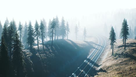 Camino-A-Través-Del-Bosque-De-Taiga-Ruso-Desde-Una-Vista-Aérea