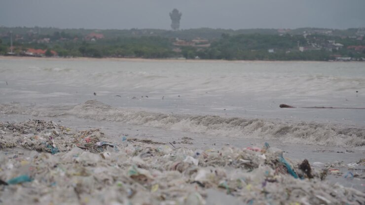 Plastic Pollution on a Beach in Bali