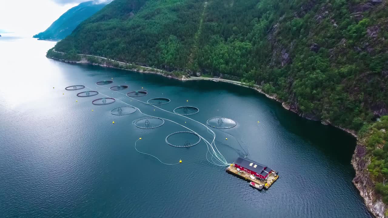 Riprese aeree di allevamento di salmoni in Norvegia