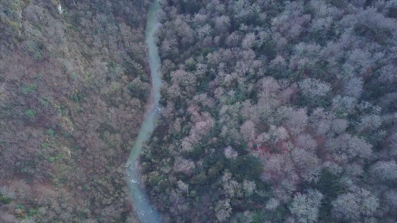 숲 을 가로질러 흐르는 강 의 공중 사진