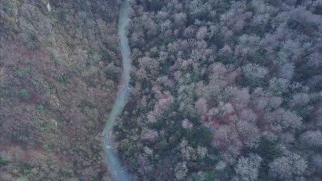 aerial view of a river winding through a forest