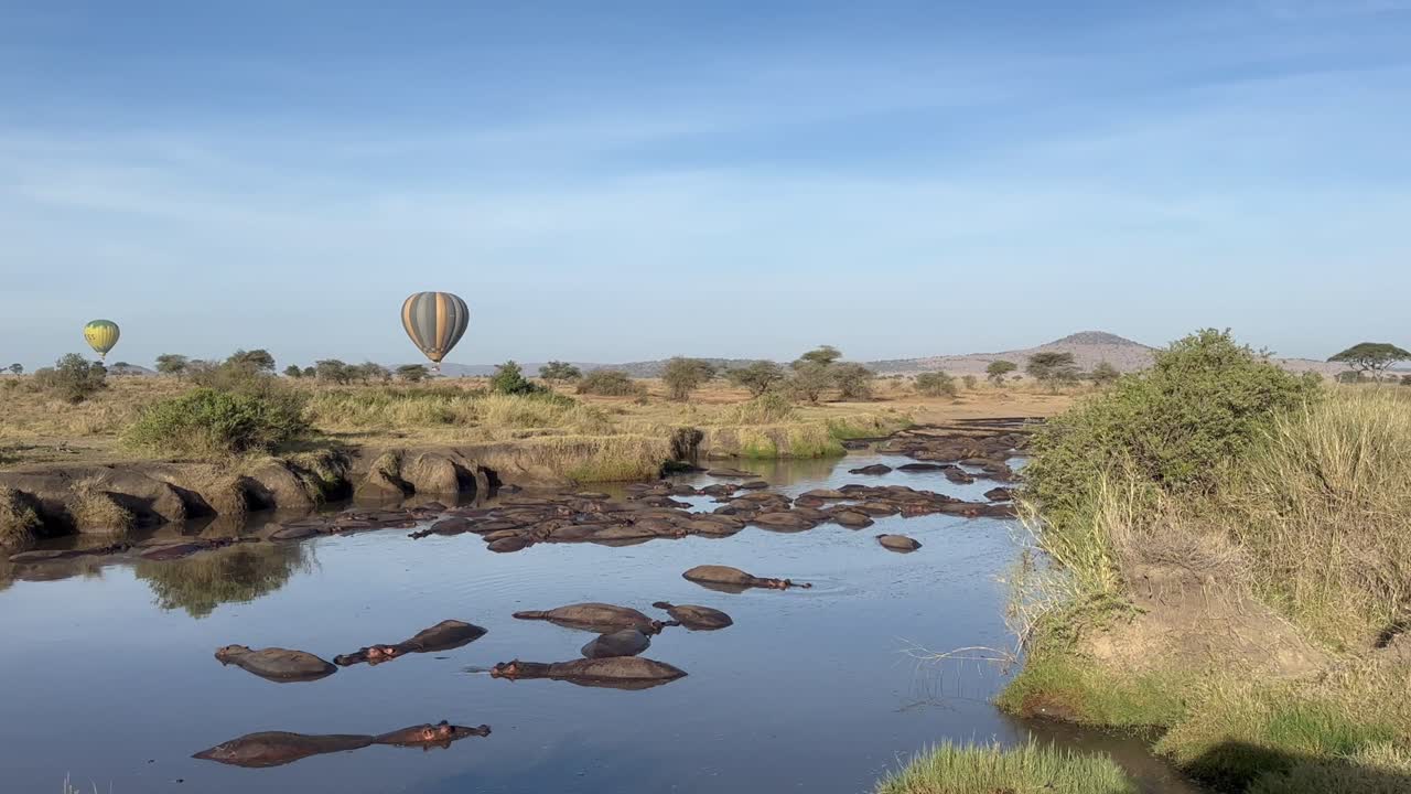 Mongolfiere che sorvolano la savana vicino a un fiume dove riposano gli ippopotami. Parco nazionale del Serengeti, Tanzania