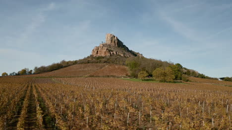 aerial shot of solutre rock with vineyards