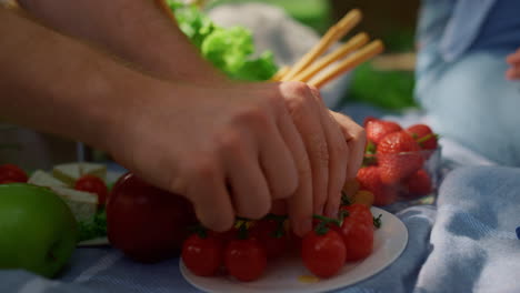 알 수 없는 인간의 손은 피크닉 클로즈업에서 토마토를 잡습니다. 남자의 팔은 빨간 채소를 잡습니다.