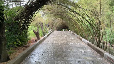 beautiful tranquillity surrounds the bamboo pathway with feet prints on the floor