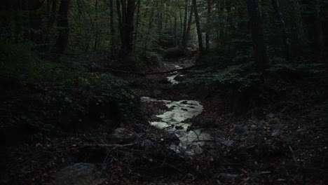 Un-Arroyo-En-El-Bosque-Después-Del-Atardecer