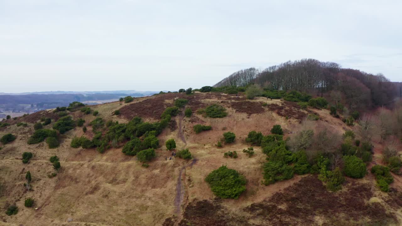 toma aérea de un hermoso bosque en dinamarca