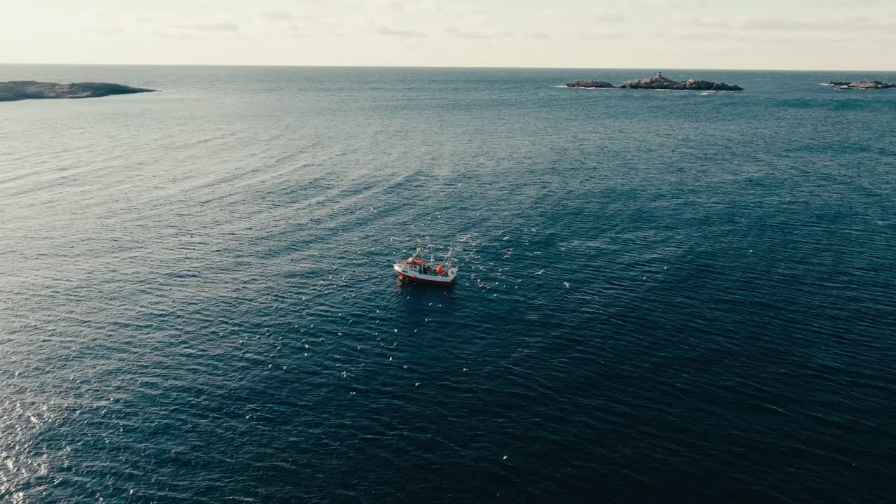 Seabirds Flying Over The Fishing Boat Heading To The Sea To Catch Fish. - aerial shot