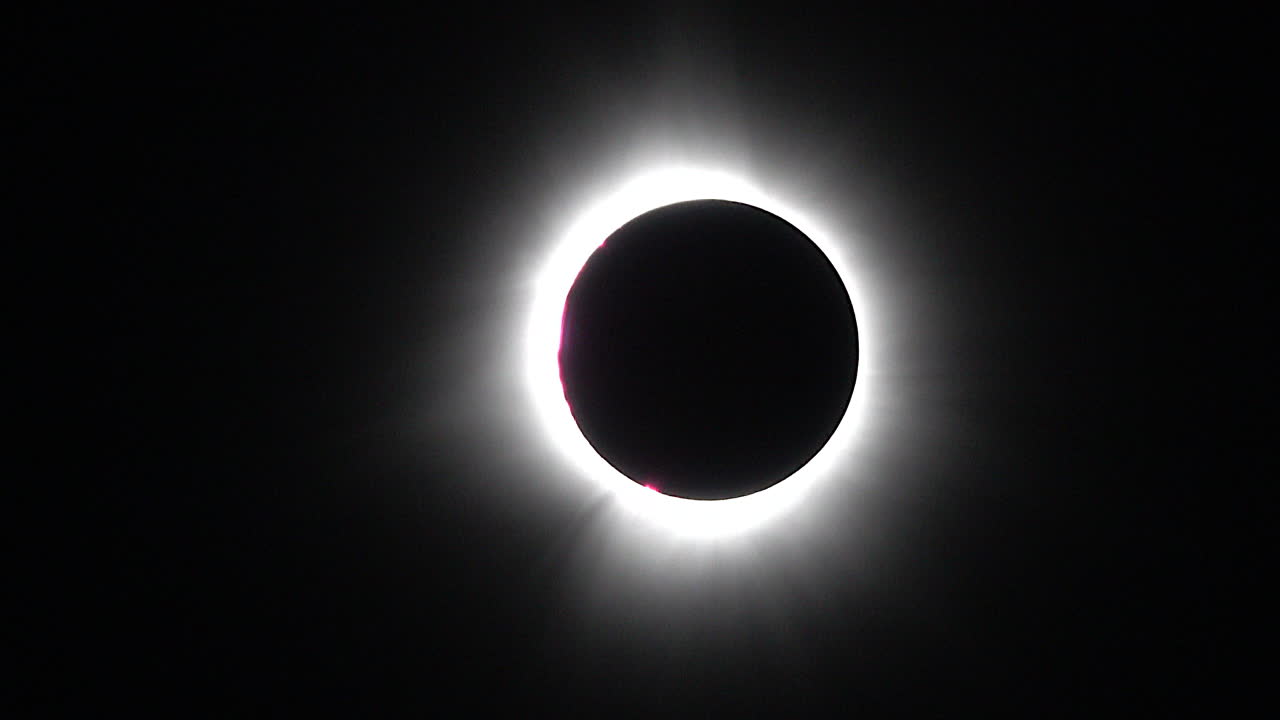 un pájaro pasa delante de un eclipse solar total con prominencias rosadas y una brillante corona solar