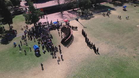 aerial view of a graduation ceremony on the lawn of ciudad universitaria