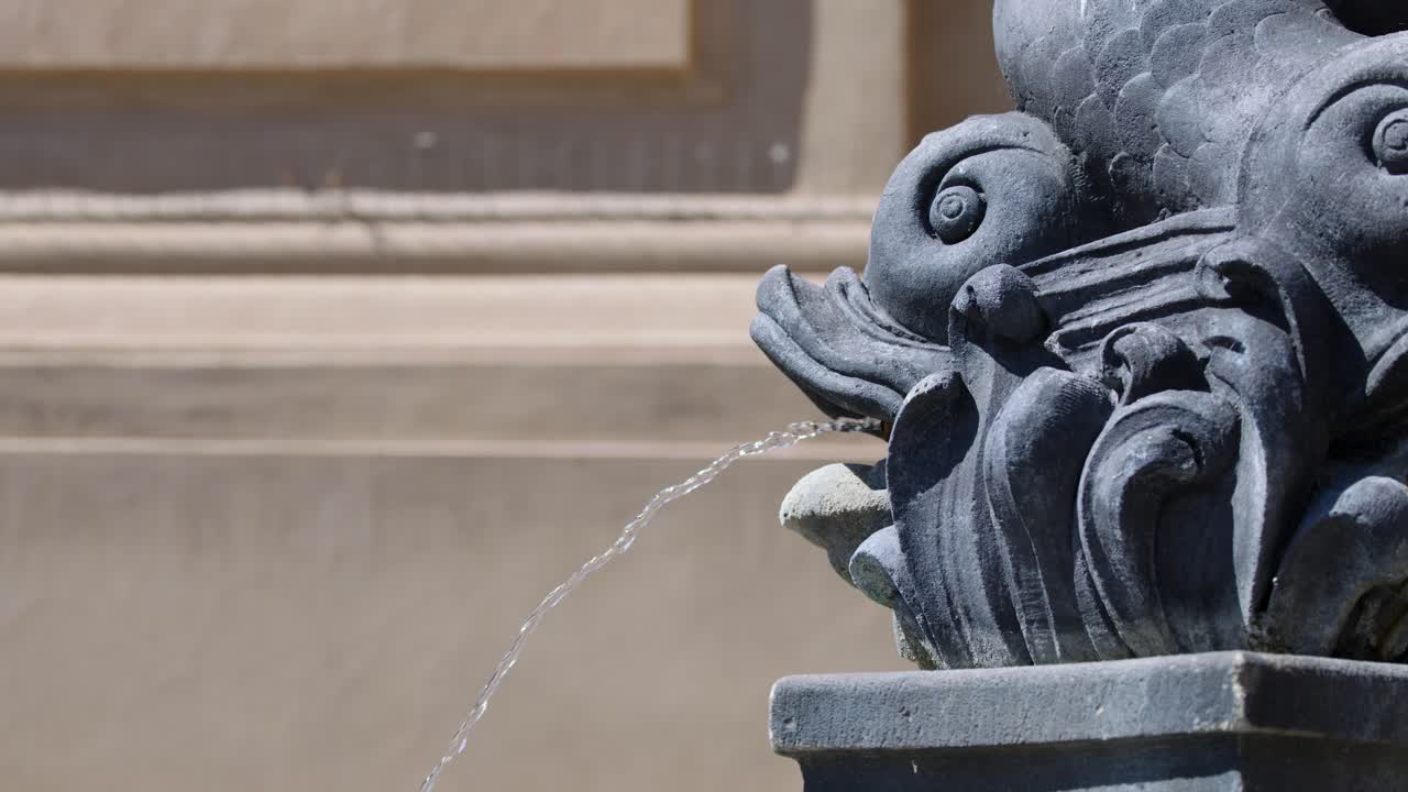 Stone dolphin sculpture fountain streams water, baroque architectural detail, daylight, steady close-up shot