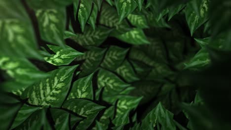 Seamless Tunnel of Leaves - Nature Looping Background