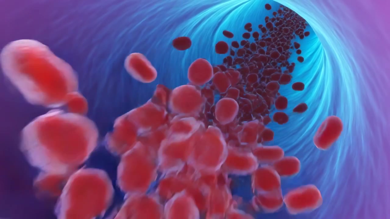 Moving viewpoint through blood vessel lumen, showing red blood cells streaming toward viewer