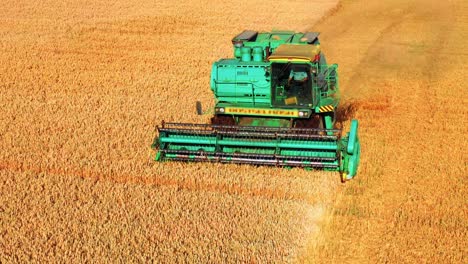 farmer in combine harvester tractor harvesting wheat crops at the field