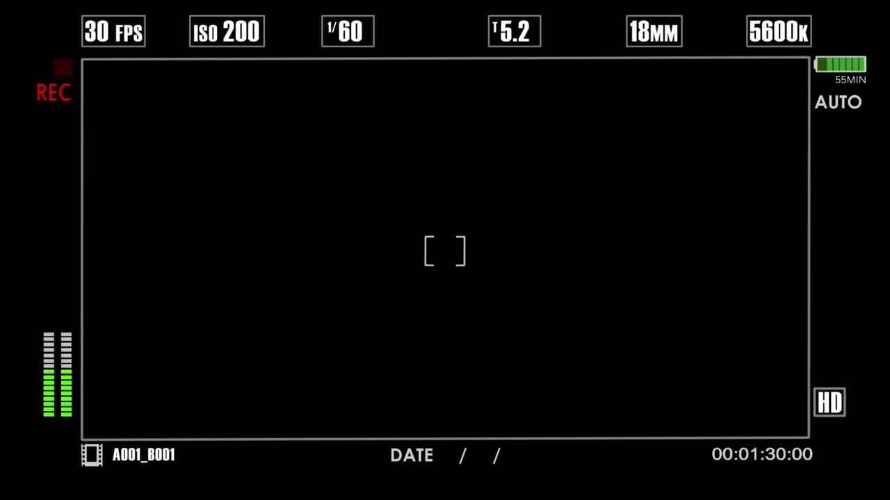 Digital Camera Recording Interface with Settings Display