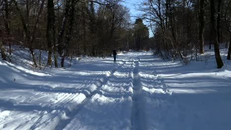 female skier treks down on the snow with forest on the background