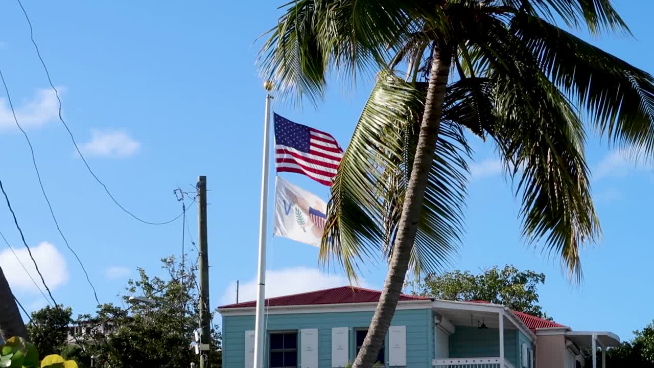 bandera de las islas vírgenes de los estados unidos ondeando en el viento junto a una palmera
