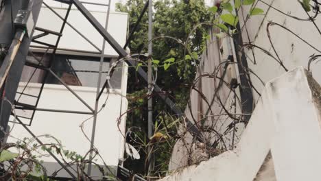 toma panorámica de derecha a izquierda de una cerca de alambre de metal con una casa blanca detrás rodeada de vegetación verde en la ciudad
