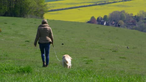 mature woman taking dog for walk in countryside shot on r3d