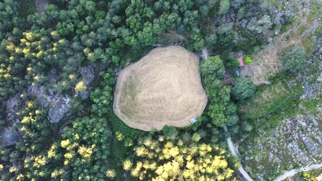 aerial view of field surrounded by trees in peneda geres national park, portugal, europe, circling