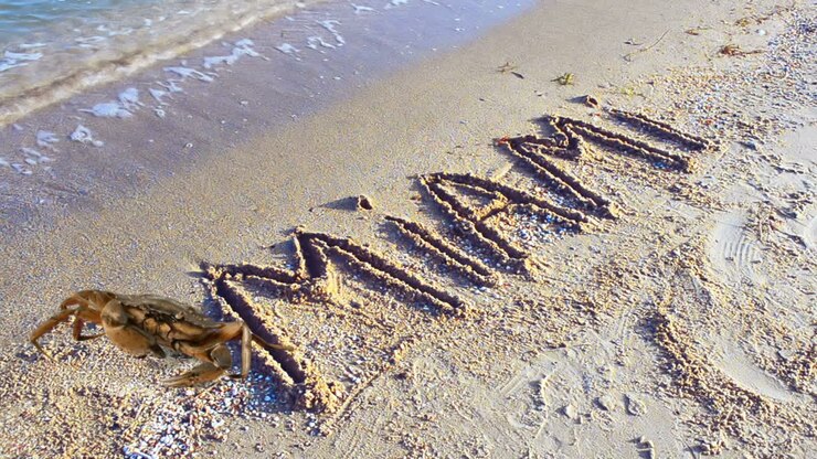 Crab and an inscription on sand, the beach. The inscription Miami on sand. Florida, USA