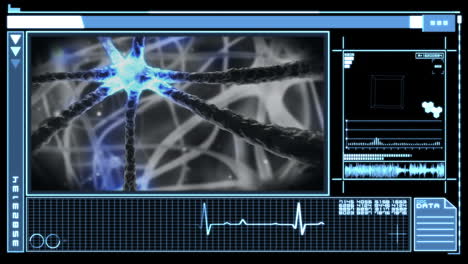 Digital-interface-showing-neuron-pulsing-through-nervous-system