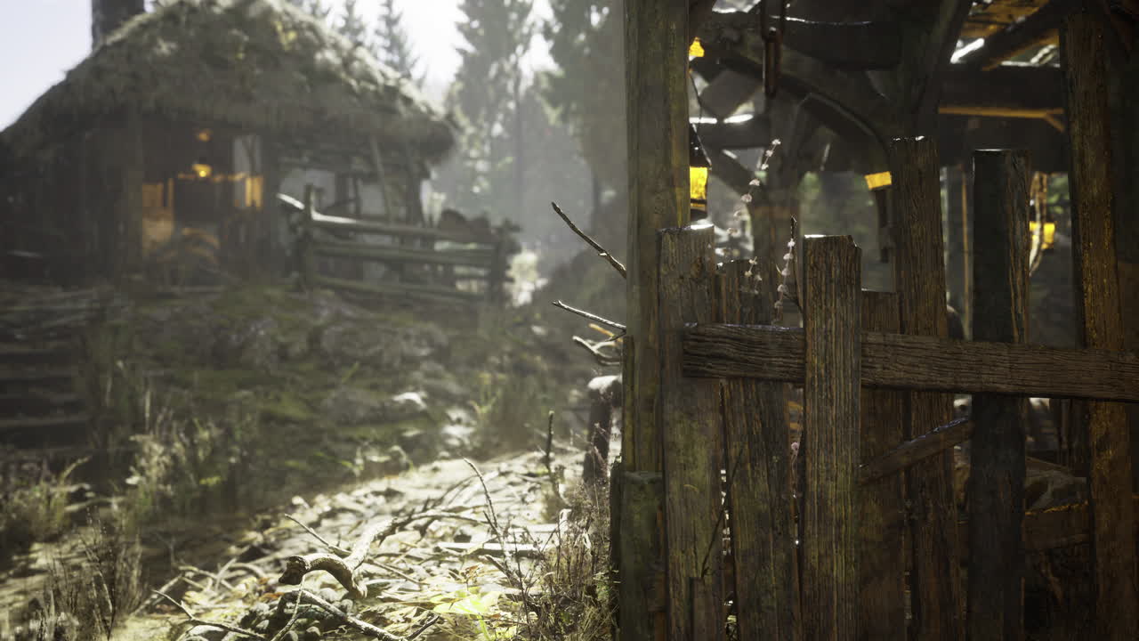 Rustic cabin and surrounding nature in a tranquil forest setting