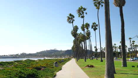 tilting down in slow motion from the palm trees to a bike path along the sunny beach city of santa barbara, california