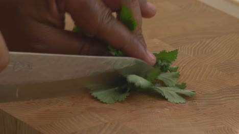 cutting very thing coriander leaves for teh peruvian ceviche