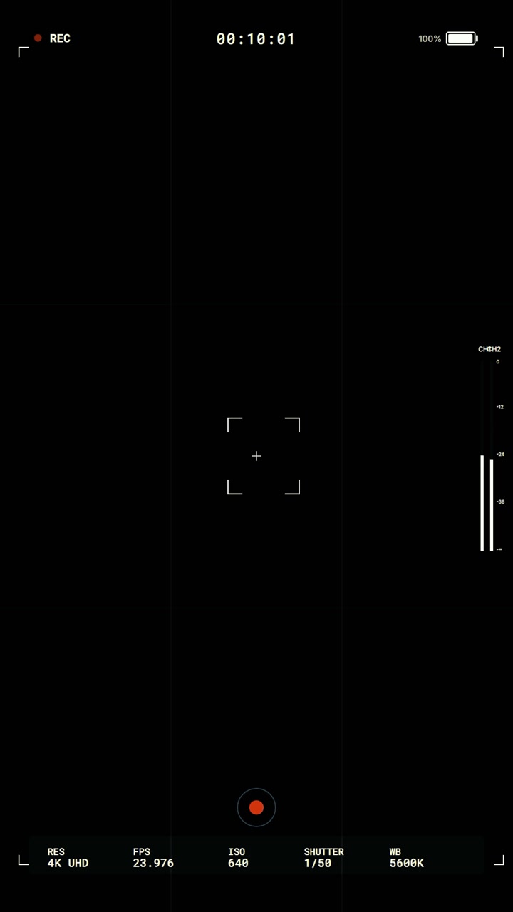 Digital Camera Recording Interface Overlay