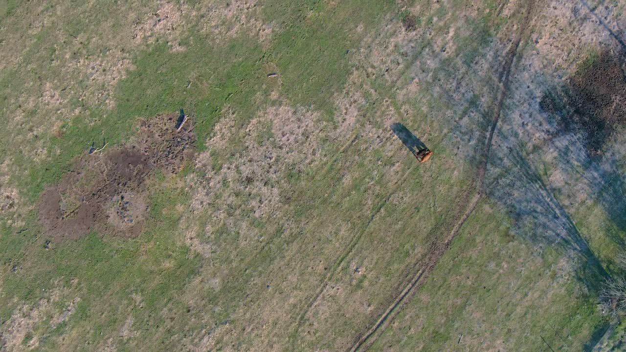 birds eye view of two cow and calf in the pasture