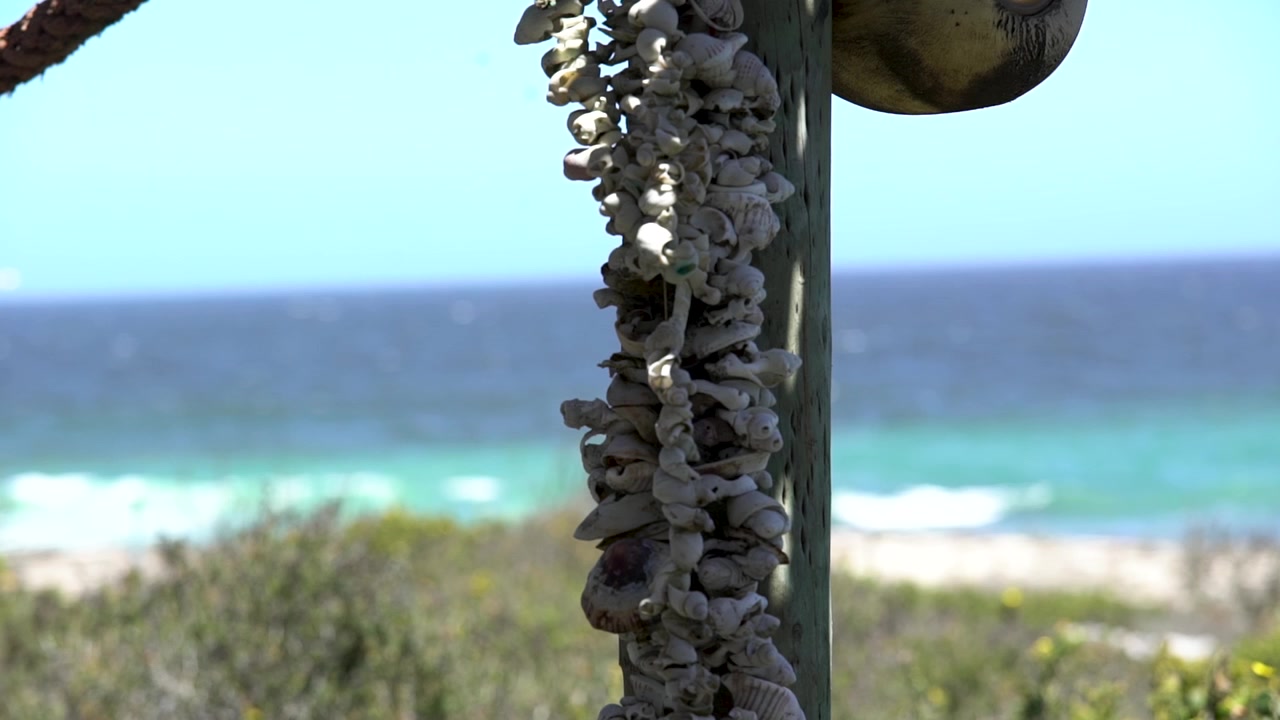 Un filo di conchiglie appeso fuori da un palo di legno in riva all'oceano. Questa ripresa è al rallentatore.