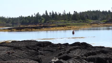 An-amazing-scenic-place-where-you-can-relax-with-a-beautiful-seashore-with-a-big-forest-behind