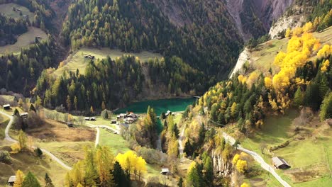 autumn view of larch forest in switzerland, with a turquoise lake , mountains on the background