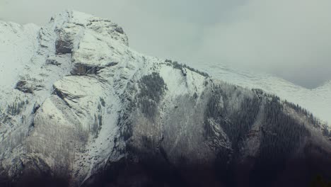 pico de montaña con bandada de pájaros y nieve ligera