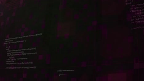 computer code display