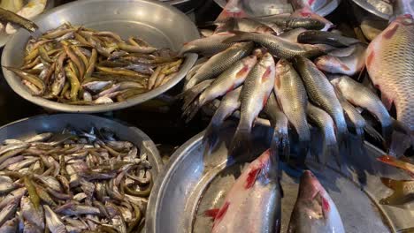 raw fresh fish in large metal bowls at market in sylhet