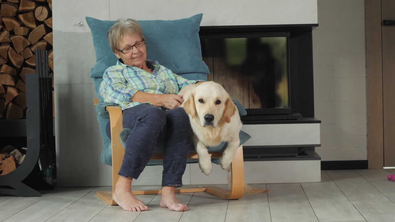 집 에 골든 리트리버 를 키우고 있는 노인 여자