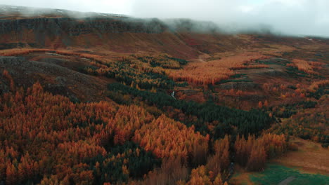 autumn foliage in akureyri, iceland – breathtaking drone views of vibrant green, orange, and yellow trees, cascading waterfalls, and tranquil streams