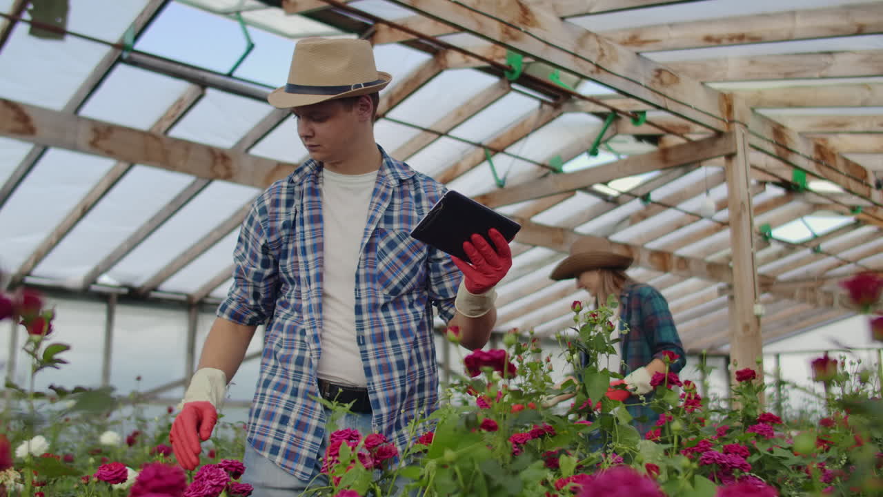 Moderni coltivatori di rose camminano nella serra con una piantagione di fiori, toccano i boccioli e toccano lo schermo del tablet.