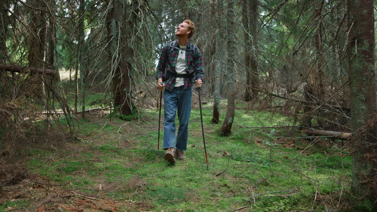 Guy trekking in woods at summer. Male traveler hiking in fairytale forest