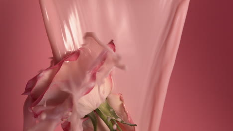 coloured liquid is splashing on flowers in reversed slowmotion