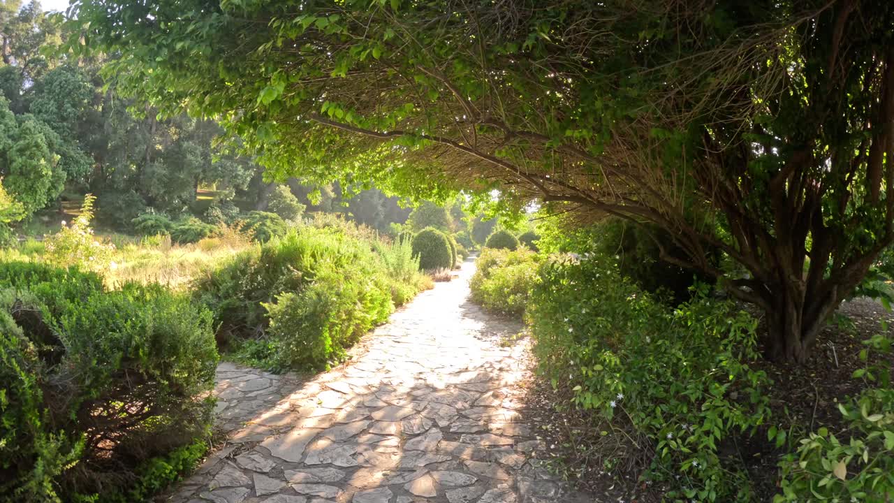 울창 한 정원 이나 식물원 의 돌길 을 따라  ⁇ 고 있는 첫 번째 사람 의 모습
