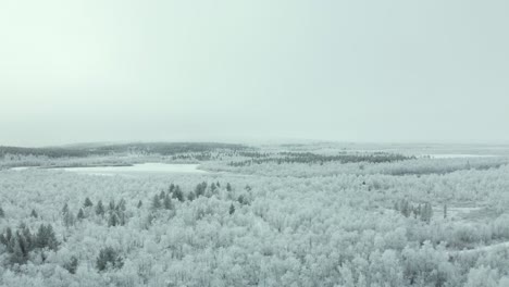 Vista-Aérea-De-Un-Austero-Paisaje-Invernal