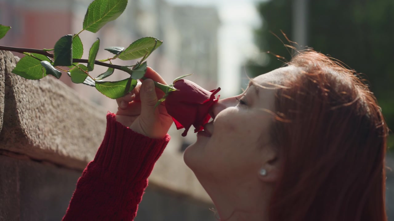 Donna con maglione rosso si protende per raccogliere e annusare una singola rosa fresca sul bordo di un muro di pietra urbano, con la luce soffusa del giorno che illumina il suo profilo contro edifici cittadini sfocati.