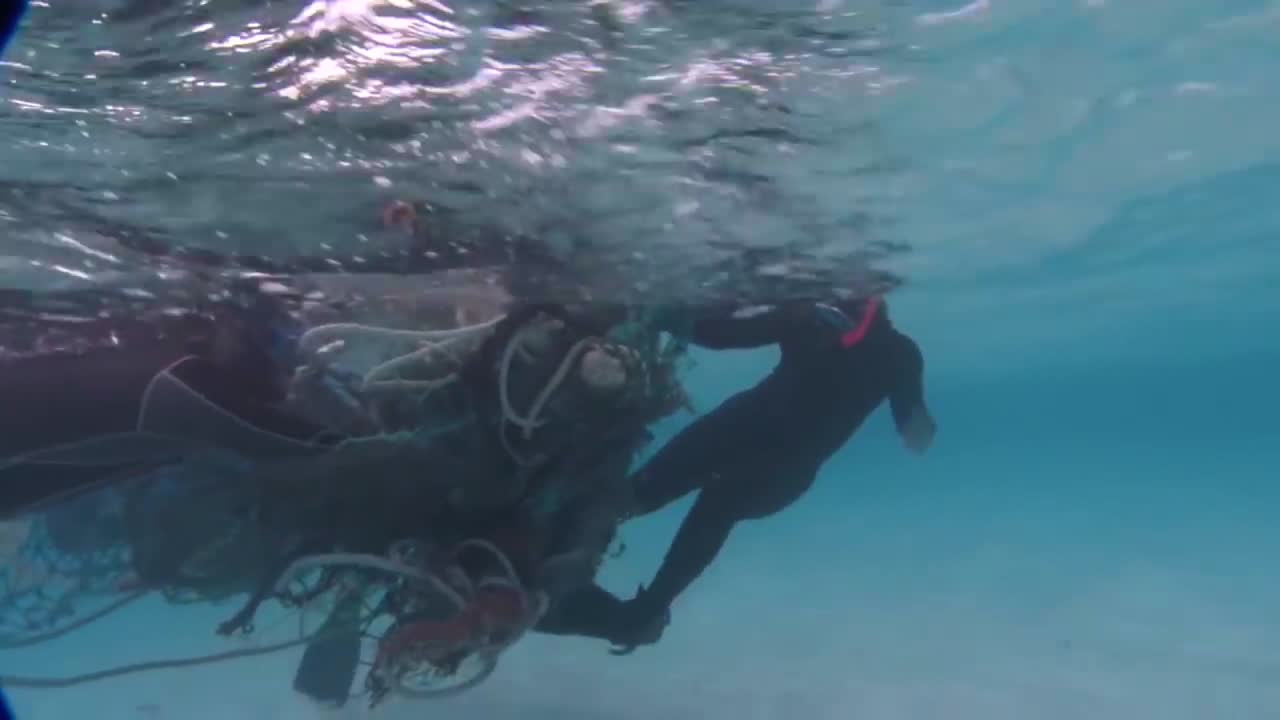 잠수부들이 하와이 인근 산호초에서 얽힌 어망을 제거하기 위해 노력하고 있습니다. 1
