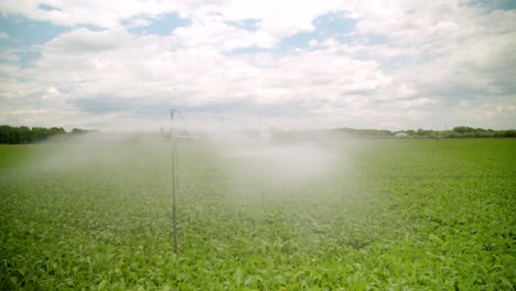 farm water irrigation of crop in green fields, marchfeld, austria - drone shot