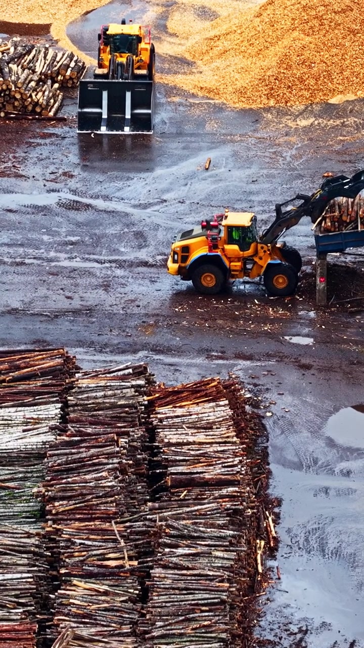 Log piles and wood chips at active sawmill industrial yard in Latvia, aerial vertical backdrop