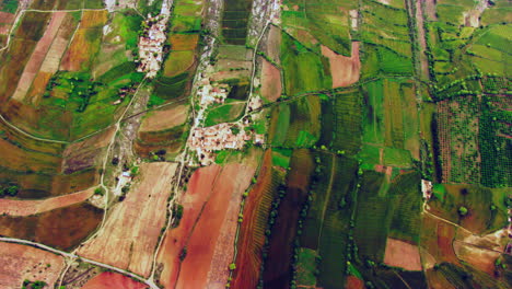 Hermosa-Toma-Aérea-De-Tierras-De-Cultivo-De-Enormes-Granjas-India-Con-Caminos,-Lago-Y-árboles